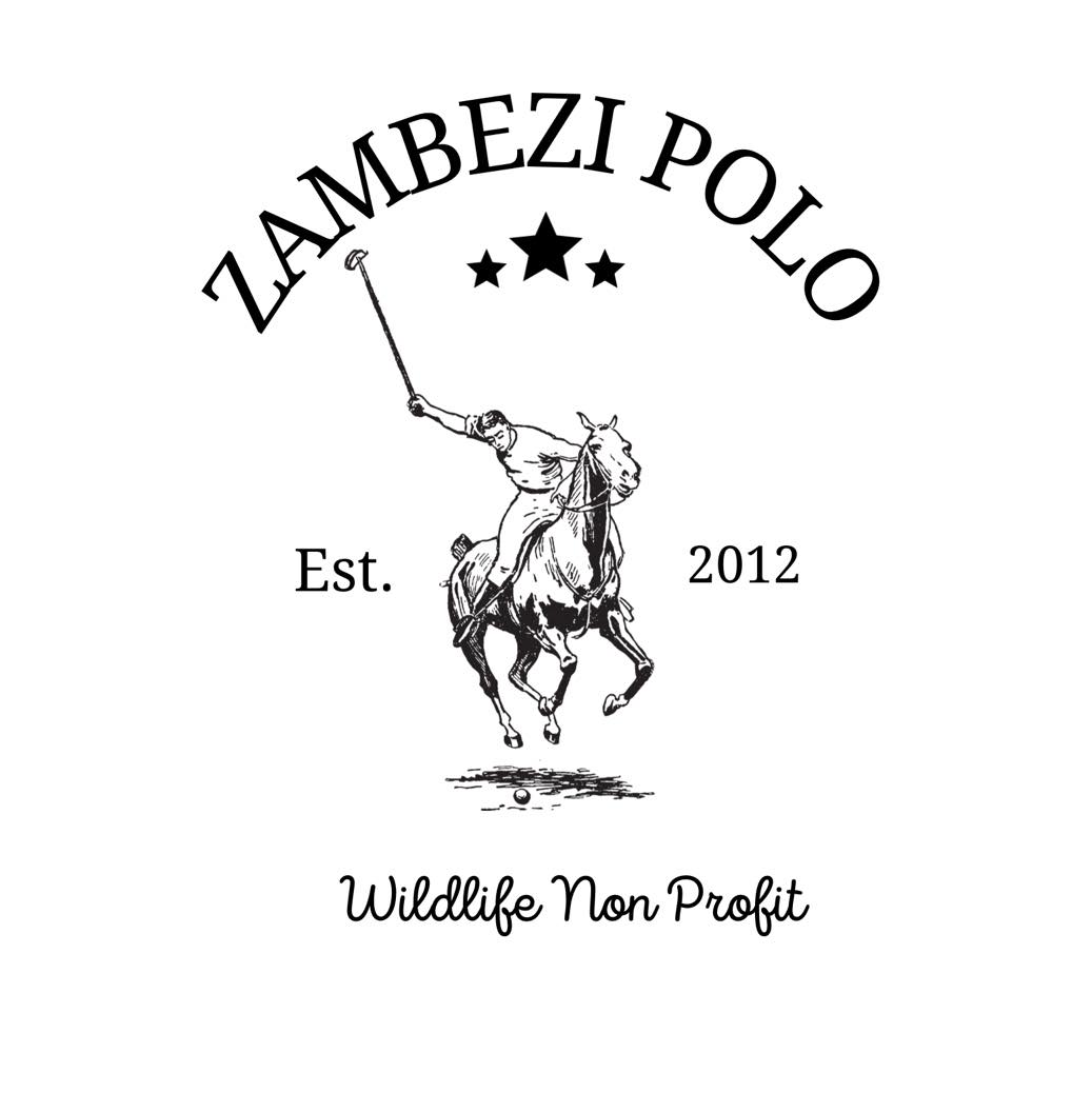 Premium Polo Mallet